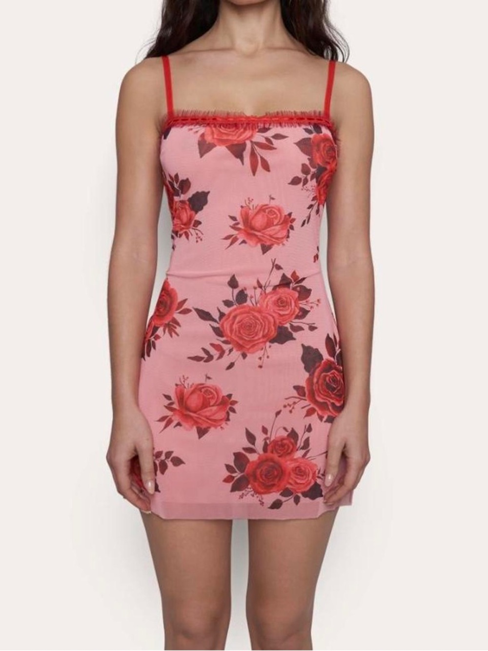 Danielle Guizio dress